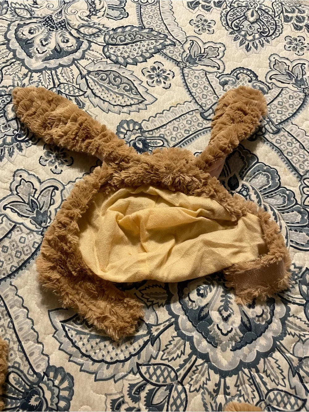 Cute dog costume